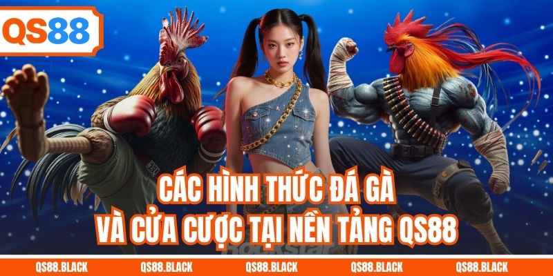 Các hình thức đá gà và cửa cược tại nền tảng QS88