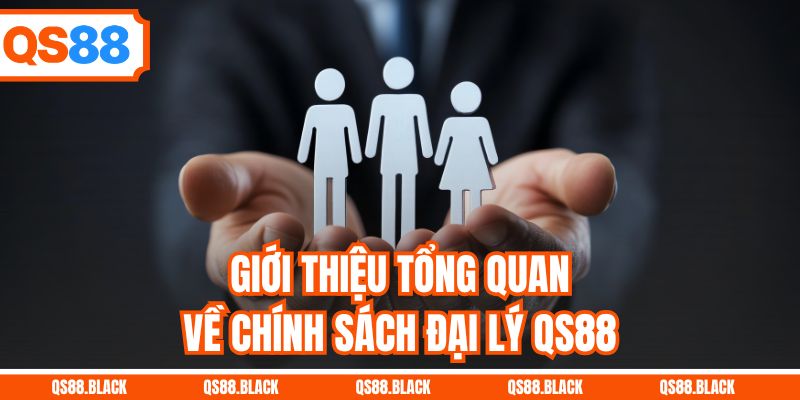 Giới thiệu tổng quan về chính sách đại lý QS88