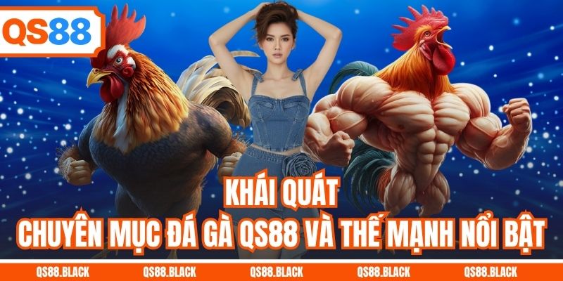 Khái quát chuyên mục đá gà QS88 và thế mạnh nổi bật