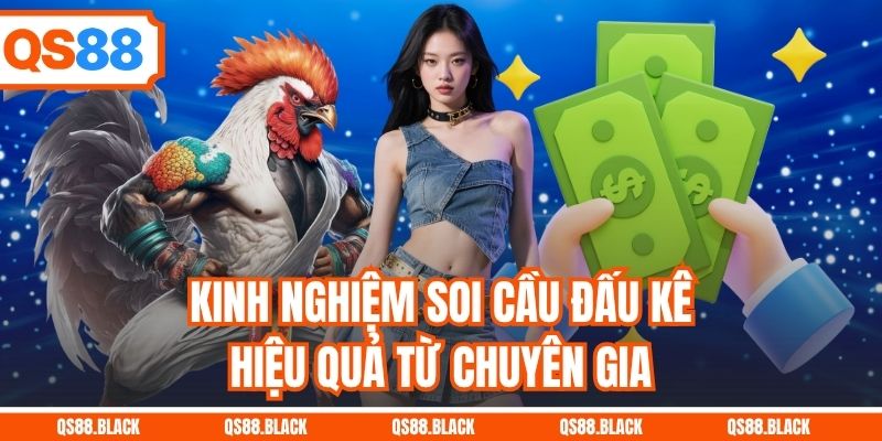 Kinh nghiệm soi cầu đấu kê hiệu quả từ chuyên gia
