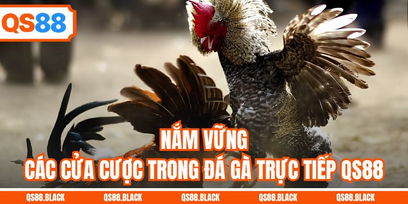 Nắm vững các cửa cược trong đá gà trực tiếp QS88